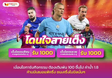 PROMOTION (23)