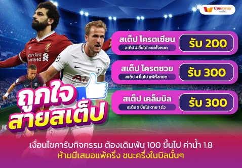 PROMOTION (24)