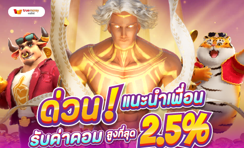 PROMOTION (27)